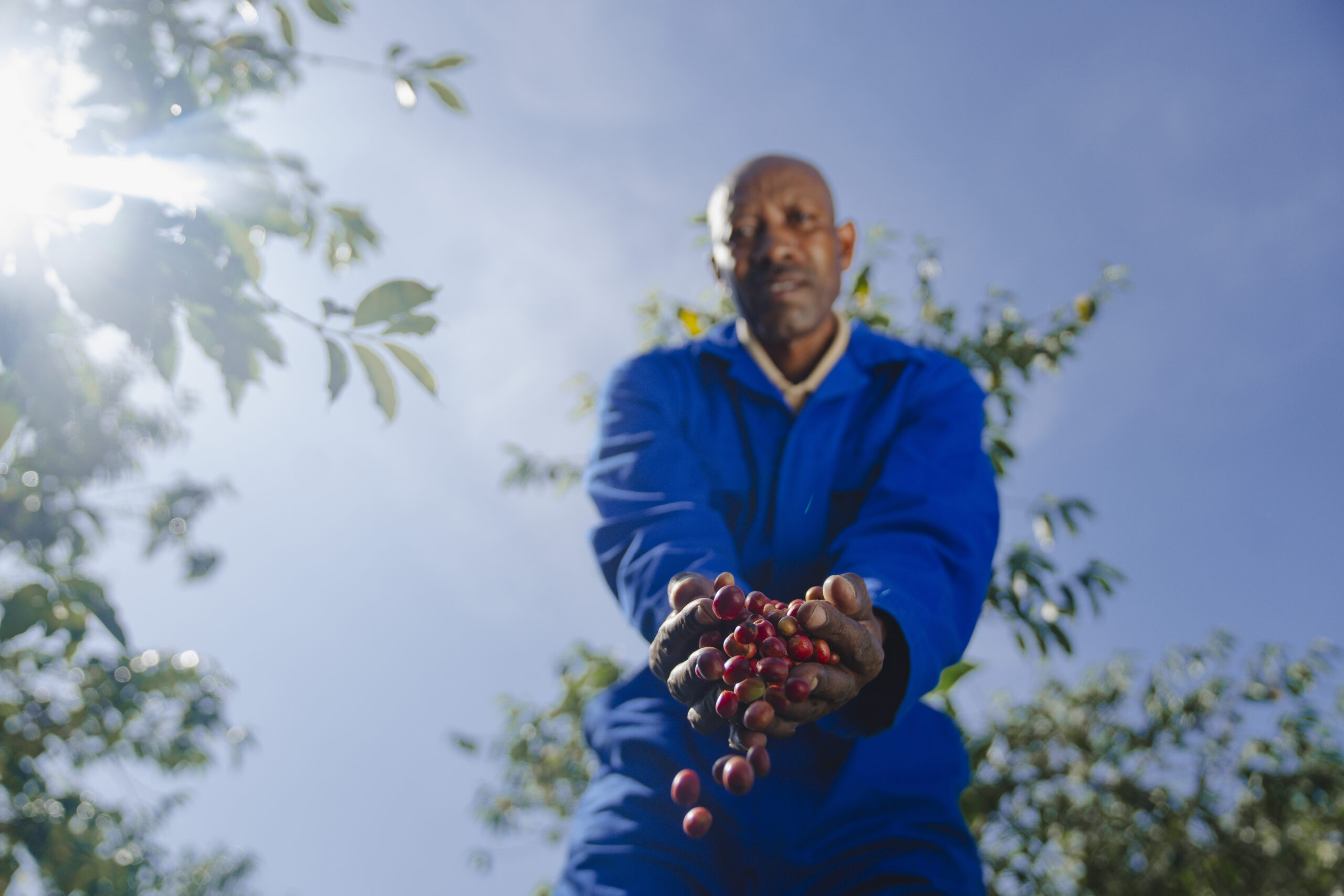 Enhancing Coffee Value while Improving Livelihoods