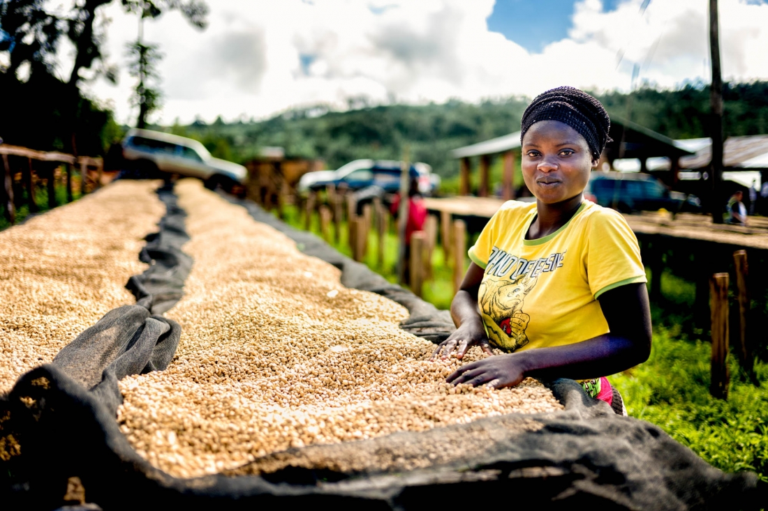 Rwanda Farmers Coffee Company (RFCC): Adding value to coffee, improving farmers’ livelihoods.